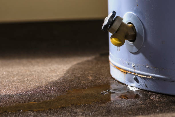 Best Professional water damage repair  in Marshallville, GA