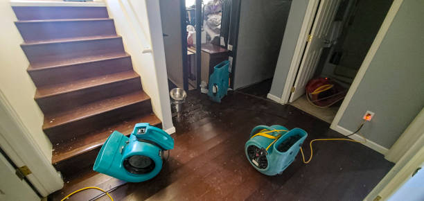 Best Basement water damage restoration  in Marshallville, GA