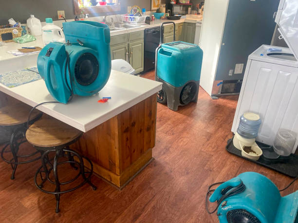Best Local water damage restoration  in Marshallville, GA