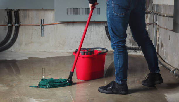 Best Flooded house restoration  in Marshallville, GA