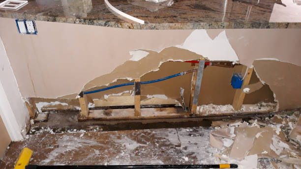 Best Water damage cleanup near me  in Marshallville, GA