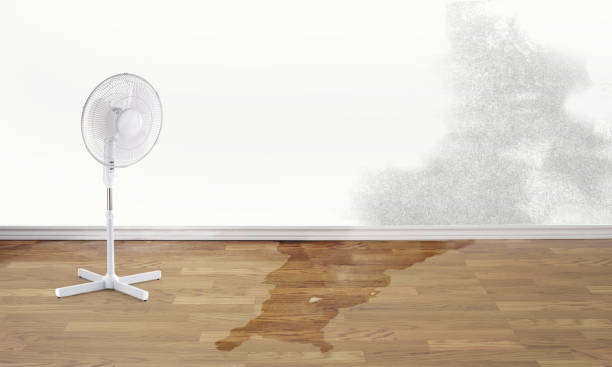 Reliable Marshallville, GA Water damage restoration Solutions