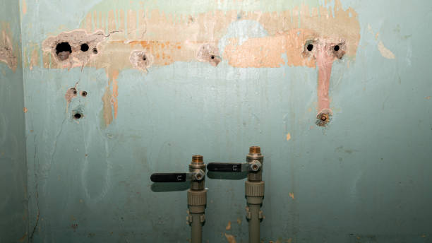 Best 24-hour water damage restoration  in Marshallville, GA