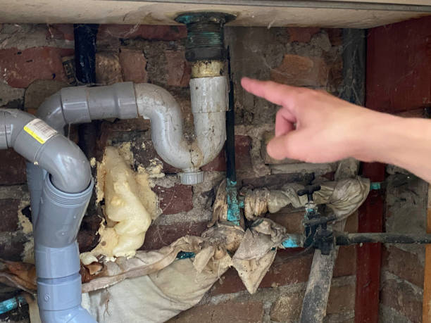 Best Residential water damage restoration  in Marshallville, GA