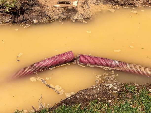 Best Sewage cleanup and water damage restoration  in Marshallville, GA
