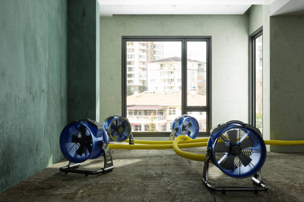 Best Water damage cleanup near me  in Marshallville, GA